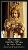 Infant of Prague Novena Prayer Card